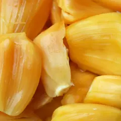 Żółte, soczyste kawałki owocu jackfruit, które wyglądają jak pyszne, tropikalne przysmaki. Jackfruit co to? To właśnie te słodkie, mięsiste segmenty.