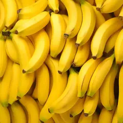Mnóstwo dojrzałych bananów, które mają wiele cennych właściwości odżywczych.