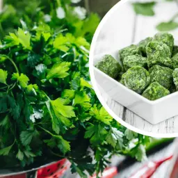 Świeża natka pietruszki obok kostek mrożonego szpinaku. Dwa sposoby na zachowanie zielonej świeżości.