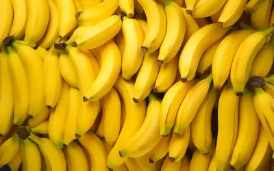 Mnóstwo dojrzałych bananów, które mają wiele cennych właściwości odżywczych.