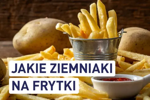Ziemniaki na frytki: Gdzie kupić i jak wybrać mistrza chrupkości?