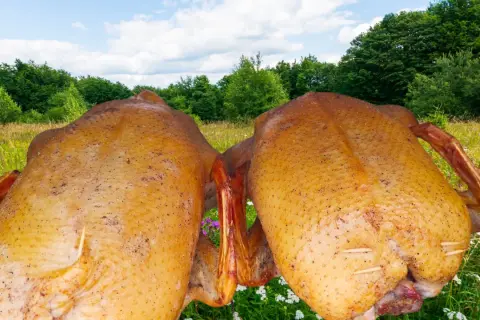 Dwie pieczone kaczki, gotowe do podania. Zastanawiasz się, jakie przyprawy do kaczki będą najlepsze?