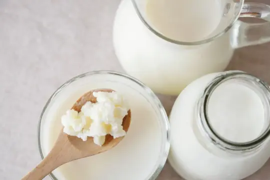 Maślanka i kefir w szklanych naczyniach. Na drewnianej łyżce widoczne ziarna kefirowe.