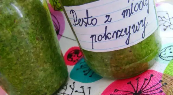 Dwa słoiki z zielonym pesto z młodej pokrzywy, gotowe do przechowywania.