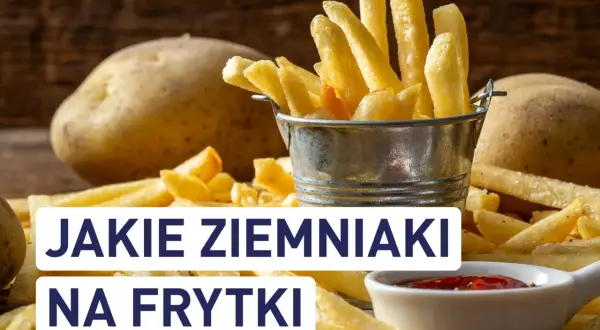 Ziemniaki na frytki: Gdzie kupić i jak wybrać mistrza chrupkości?