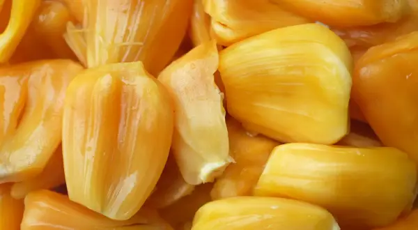 Żółte, soczyste kawałki owocu jackfruit, które wyglądają jak pyszne, tropikalne przysmaki. Jackfruit co to? To właśnie te słodkie, mięsiste segmenty.