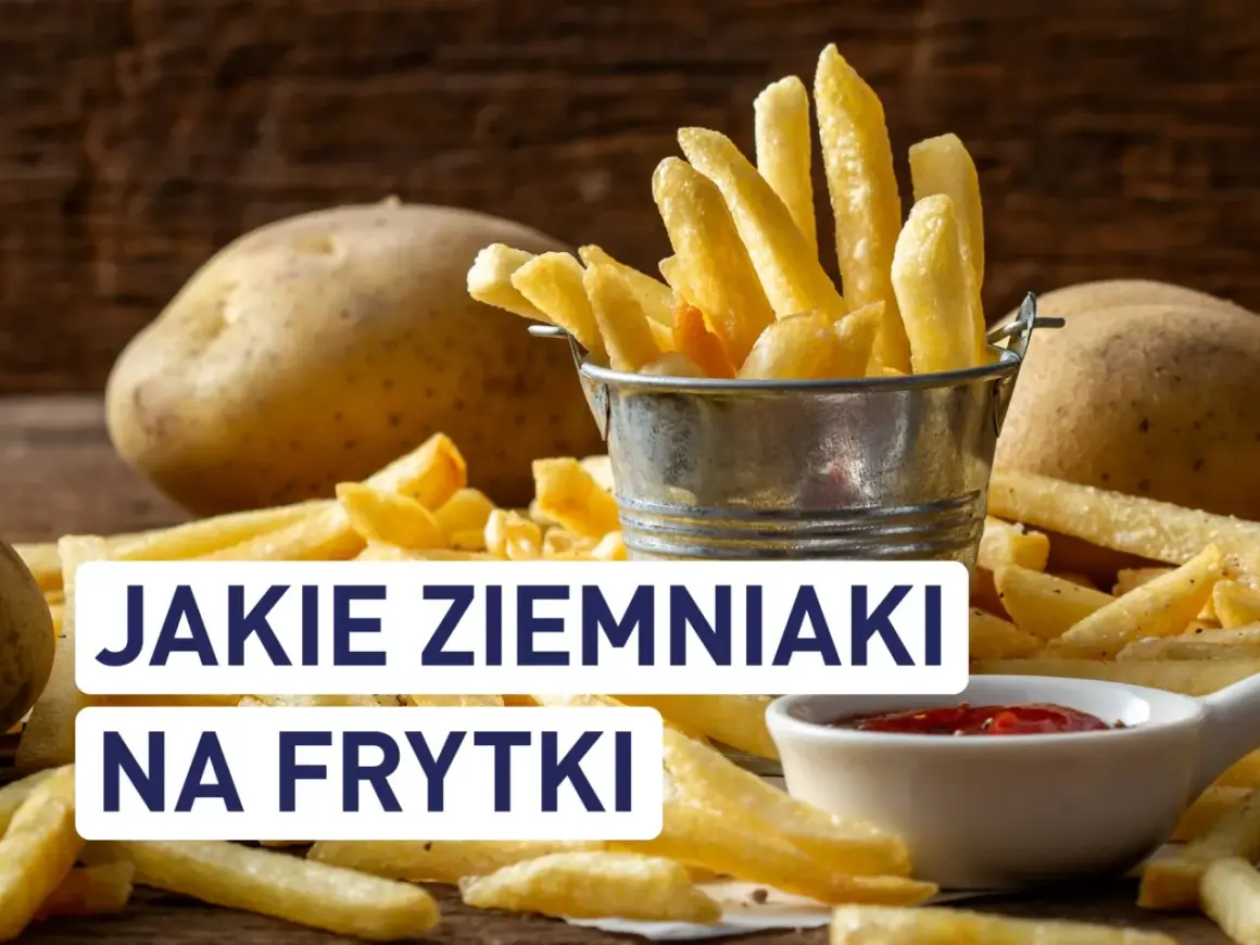 Ziemniaki na frytki: Gdzie kupić i jak wybrać mistrza chrupkości?