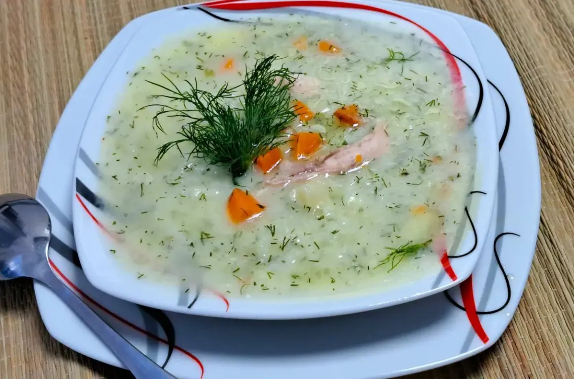 Aromatyczna zupa koperkowa z ryżem, kawałkami kurczaka i marchewką, udekorowana świeżym koperkiem.