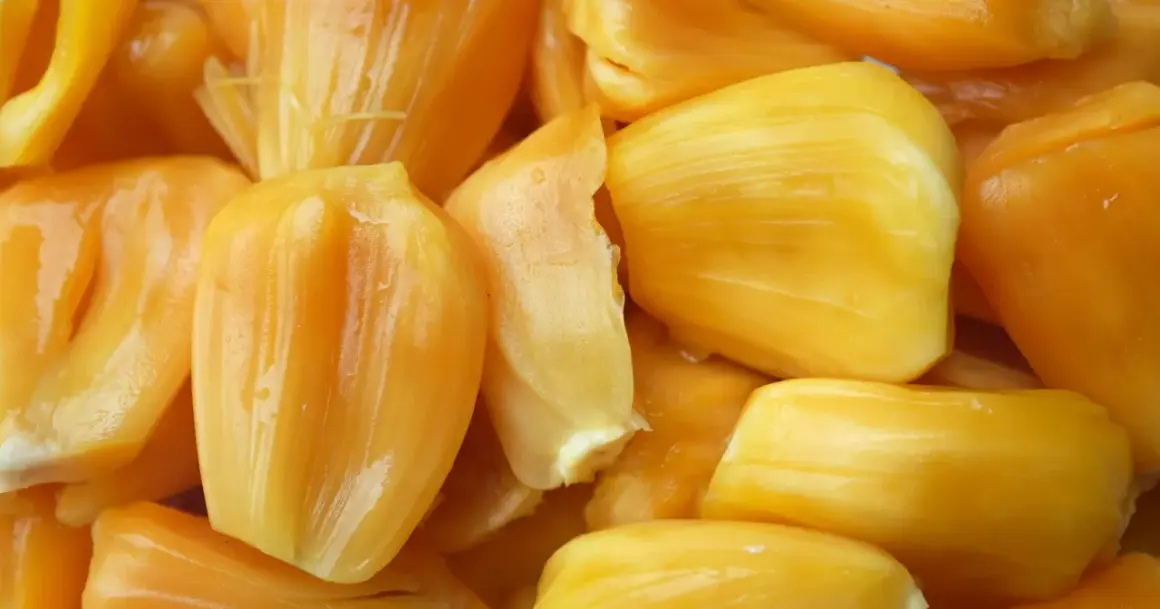 Żółte, soczyste kawałki owocu jackfruit, które wyglądają jak pyszne, tropikalne przysmaki. Jackfruit co to? To właśnie te słodkie, mięsiste segmenty.