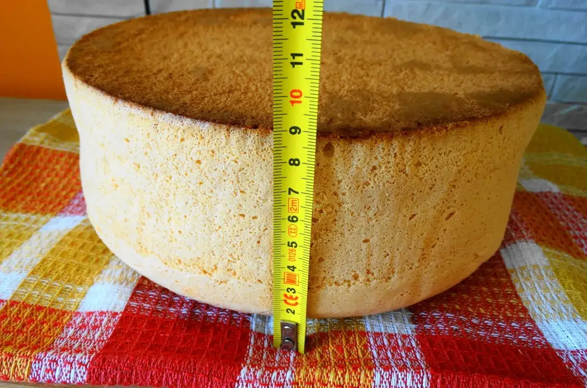 Wysoki, puszysty biszkopt mierzy ok. 10 cm. Idealny do tortu!