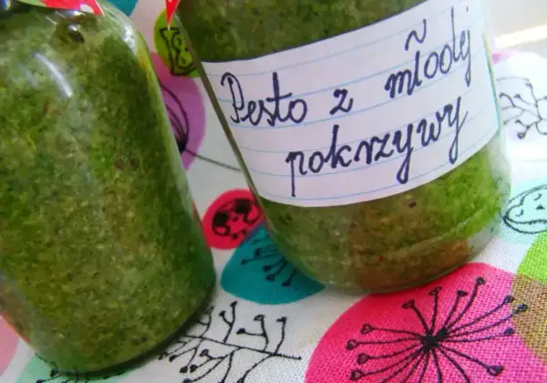 Dwa słoiki z zielonym pesto z młodej pokrzywy, gotowe do przechowywania.