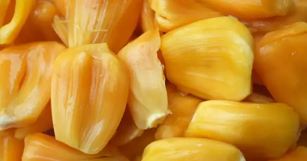 Żółte, soczyste kawałki owocu jackfruit, które wyglądają jak pyszne, tropikalne przysmaki. Jackfruit co to? To właśnie te słodkie, mięsiste segmenty.